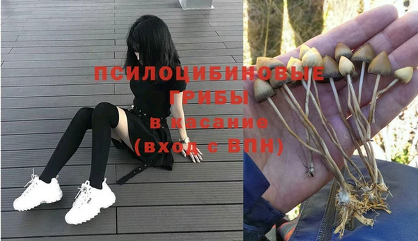 бошки Белокуриха