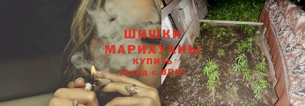 бошки Белокуриха