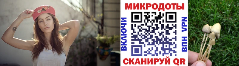 Галлюциногенные грибы Psilocybe  где купить наркоту  Верхняя Пышма 