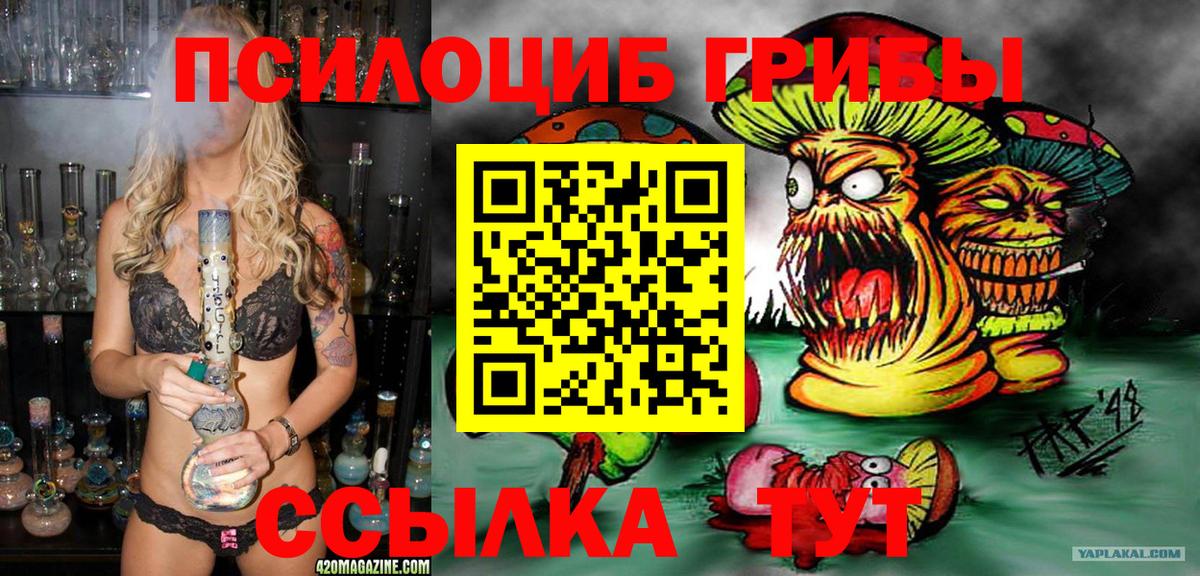 Галлюциногенные грибы Magic Shrooms Верхняя Пышма