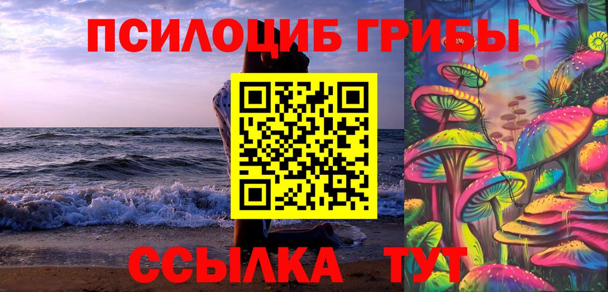 Верхняя Пышма  Псилоцибиновые грибы MAGIC MUSHROOMS  Вход с VPN  Галлюциногенные грибы мицелий 