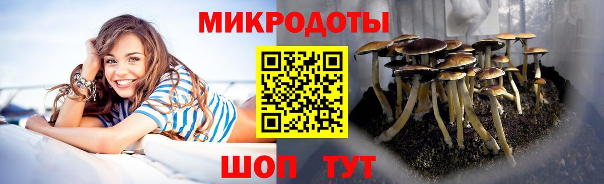 Псилоцибиновые грибы Psilocybe  Верхняя Пышма 